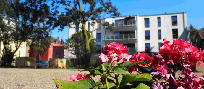 Hochfelder Hofgarten nebenan
